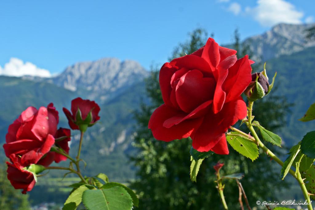 Fruehstueckspension Lemberger Dellach im Drautal ภายนอก รูปภาพ